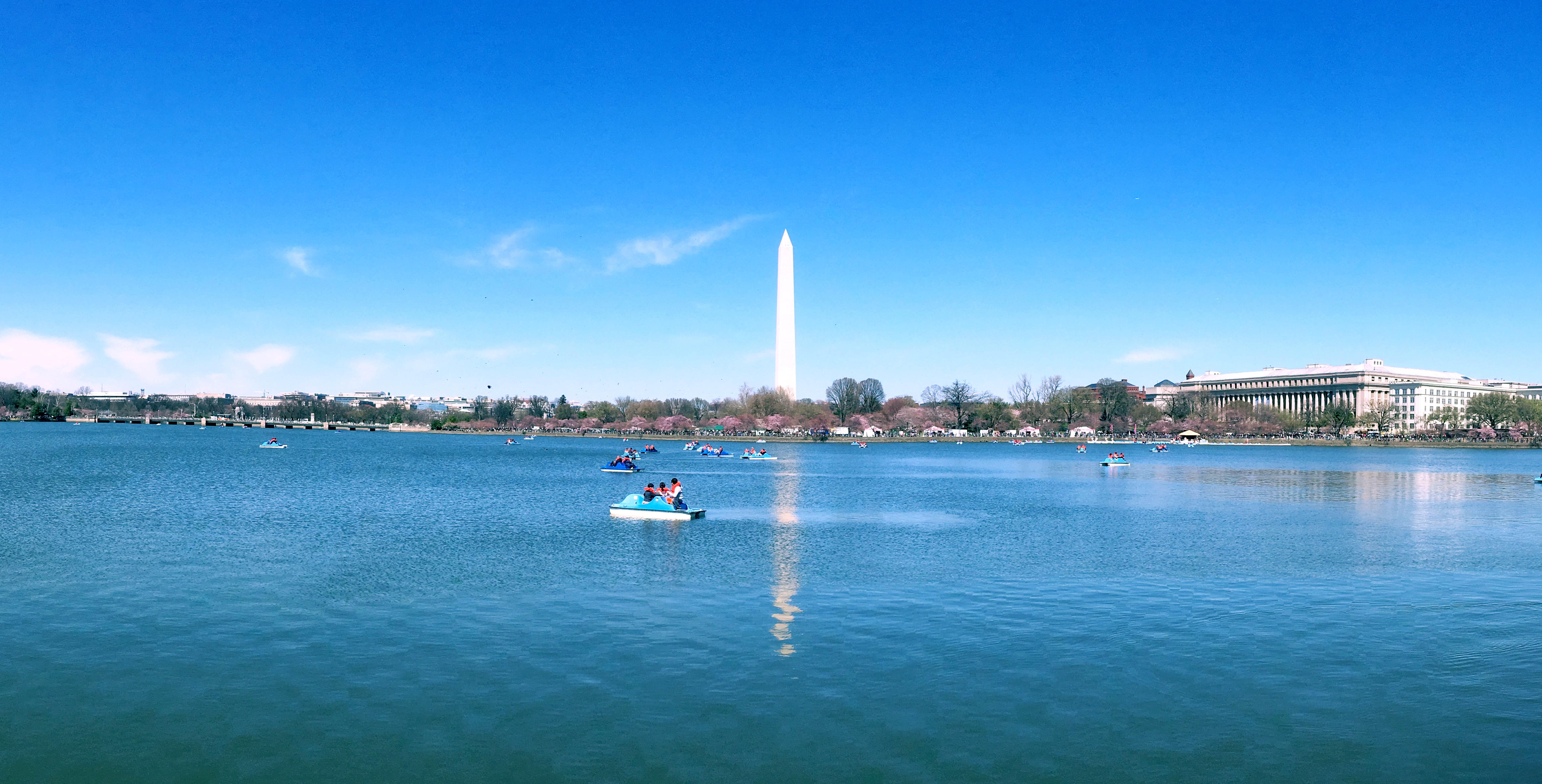 Your Potomac MD Neighborhood Update!