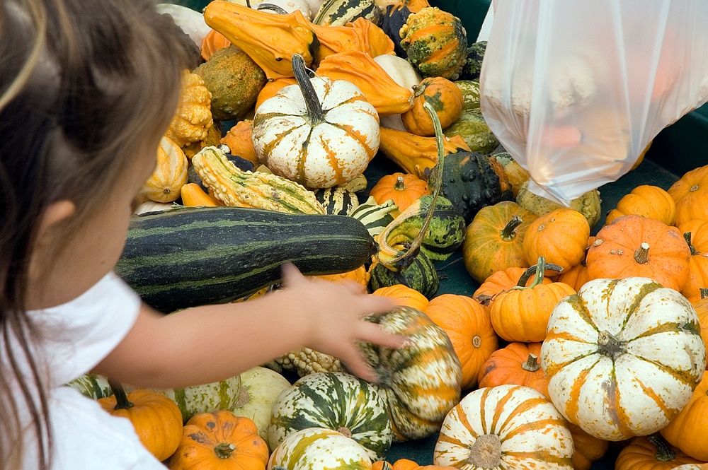 Girl touching a gourd.jpeg