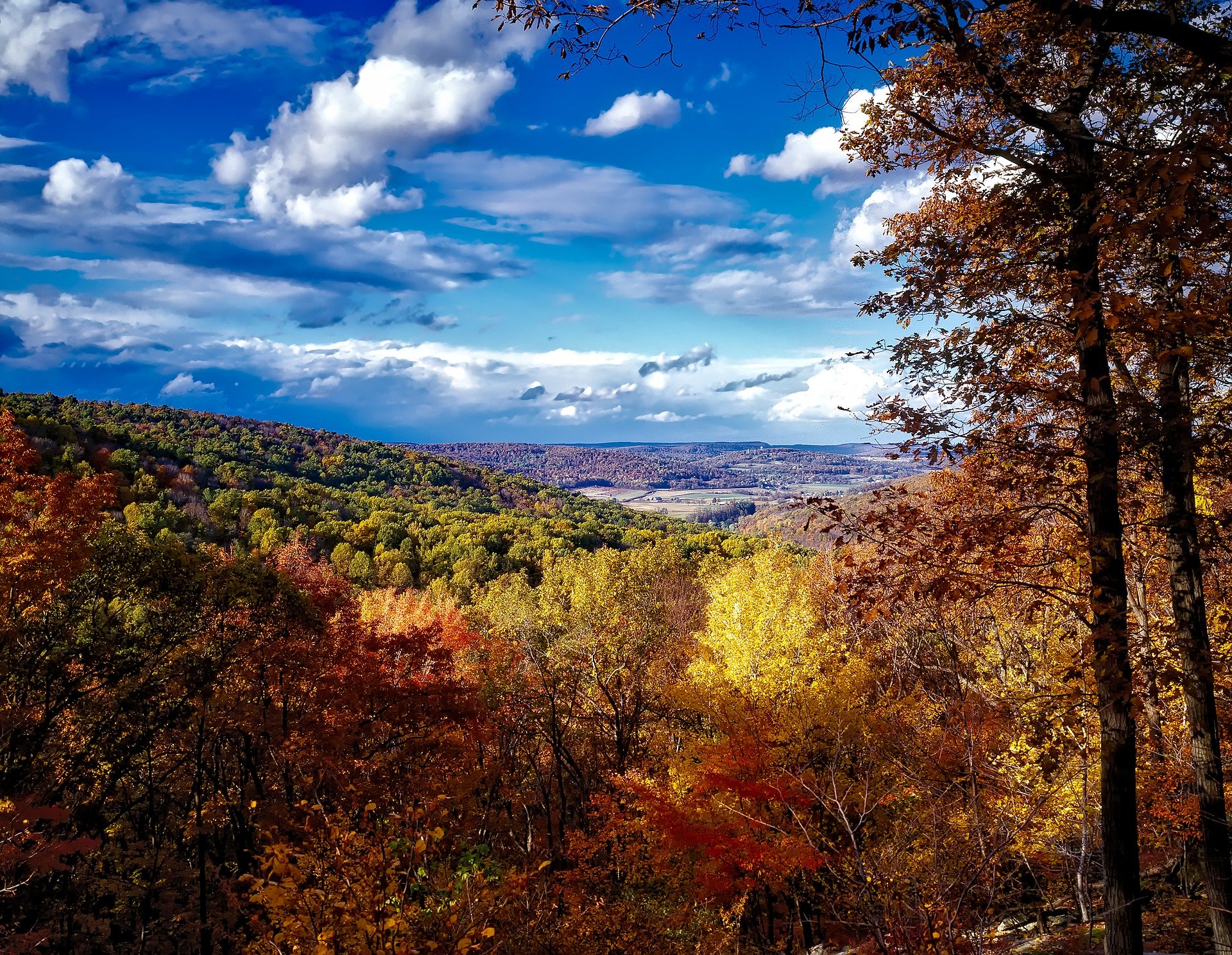 catoctin-mountains-1631457_1920