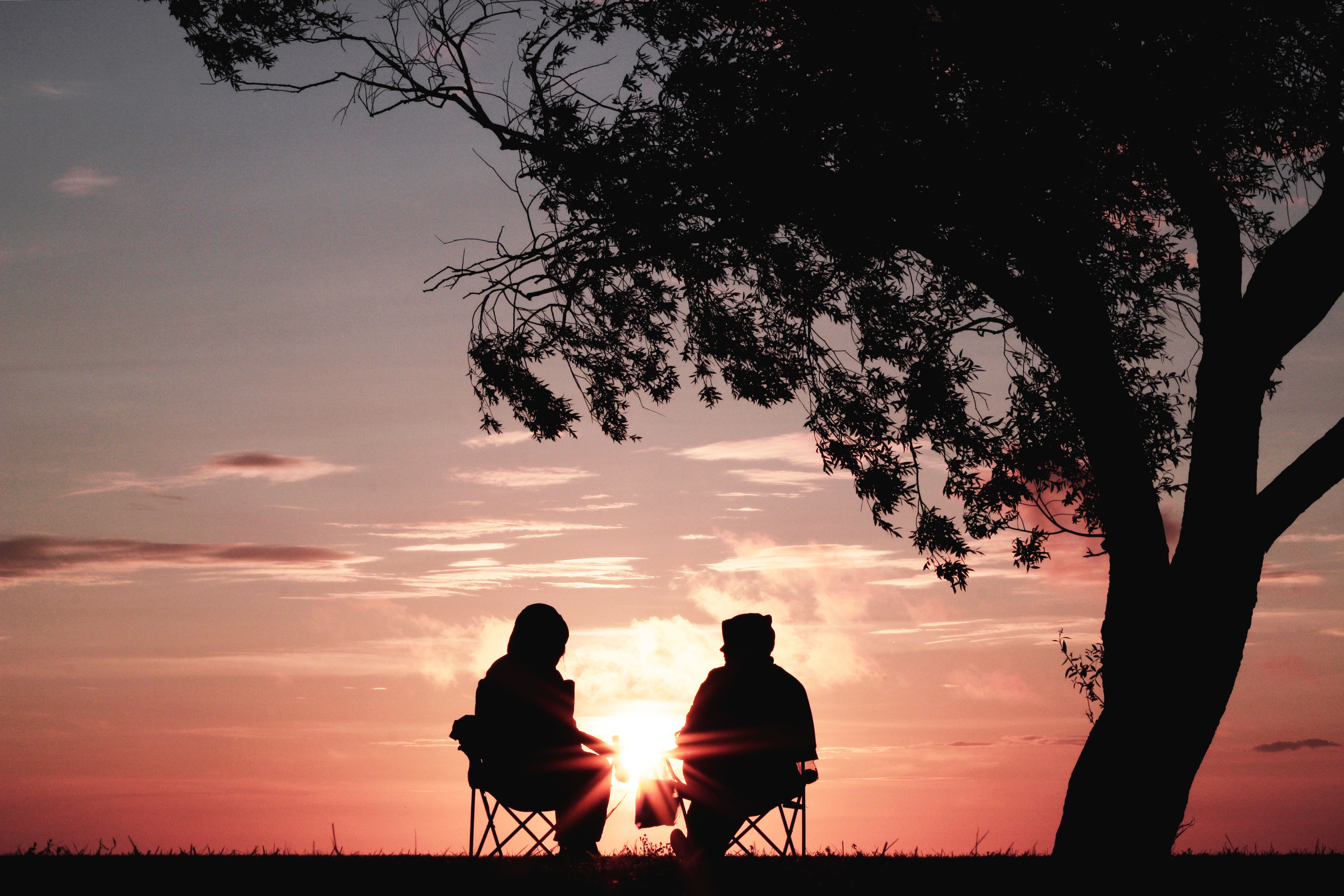 silhouette by tree