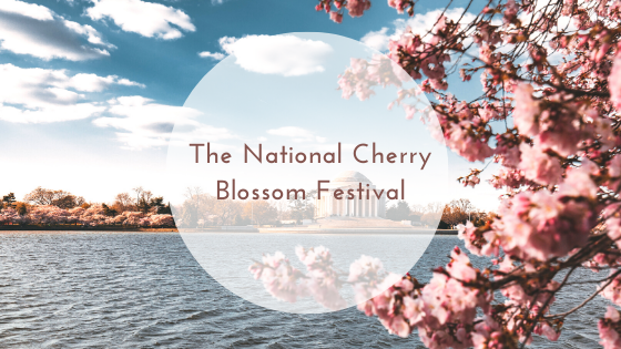 Updates to this Year's National Cherry Blossom Festival